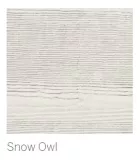 siding-colorado-springs-snow-owl